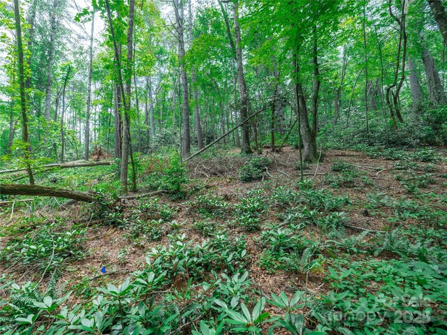 52 Trail Top Dr, Asheville, NC 28805 - photo 12