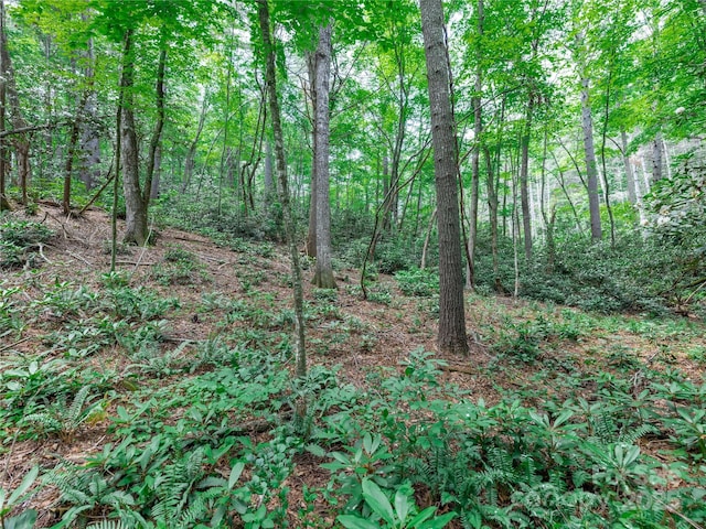 52 Trail Top Dr, Asheville, NC 28805 - photo 13