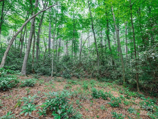 52 Trail Top Dr, Asheville, NC 28805 - photo 14
