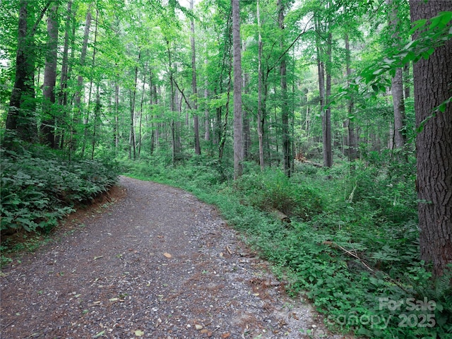 52 Trail Top Dr, Asheville, NC 28805 - photo 15