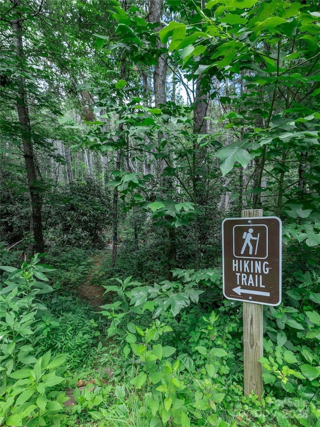 52 Trail Top Dr, Asheville, NC 28805 - photo 17