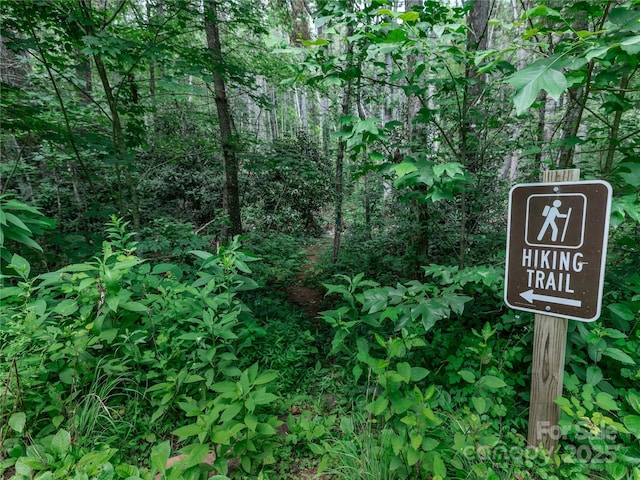 52 Trail Top Dr, Asheville, NC 28805 - photo 18