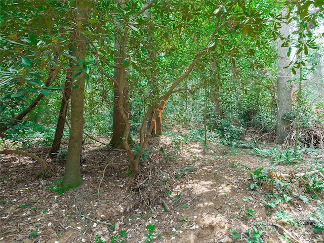 52 Trail Top Dr, Asheville, NC 28805 - photo 20