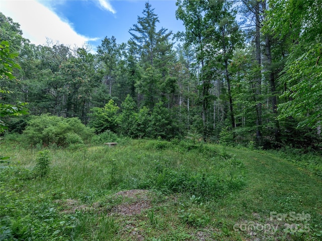 52 Trail Top Dr, Asheville, NC 28805 - photo 21