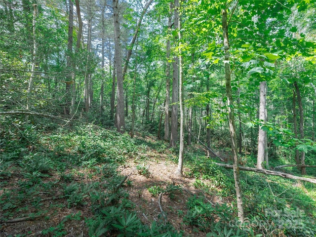 52 Trail Top Dr, Asheville, NC 28805 - photo 22