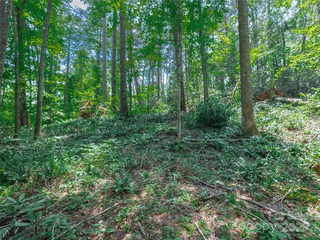 52 Trail Top Dr, Asheville, NC 28805 - photo 23