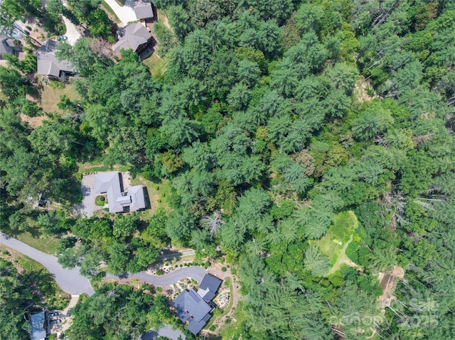 52 Trail Top Dr, Asheville, NC 28805 - photo 24
