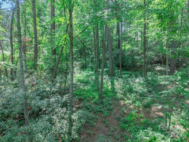 52 Trail Top Dr, Asheville, NC 28805 - photo 25