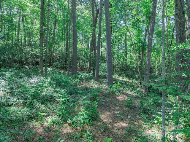 52 Trail Top Dr, Asheville, NC 28805 - photo 26
