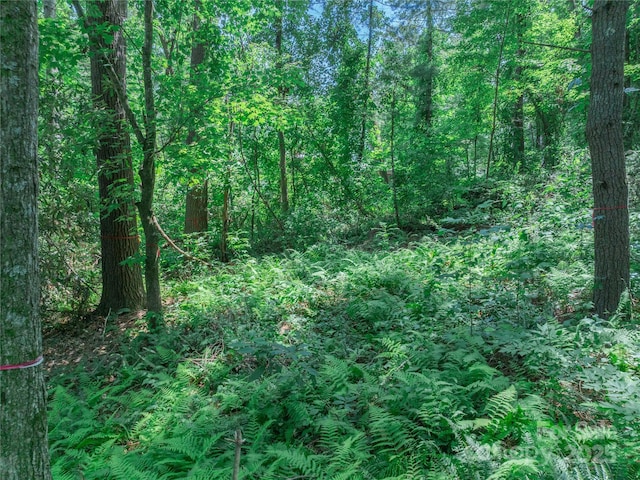 52 Trail Top Dr, Asheville, NC 28805 - photo 27