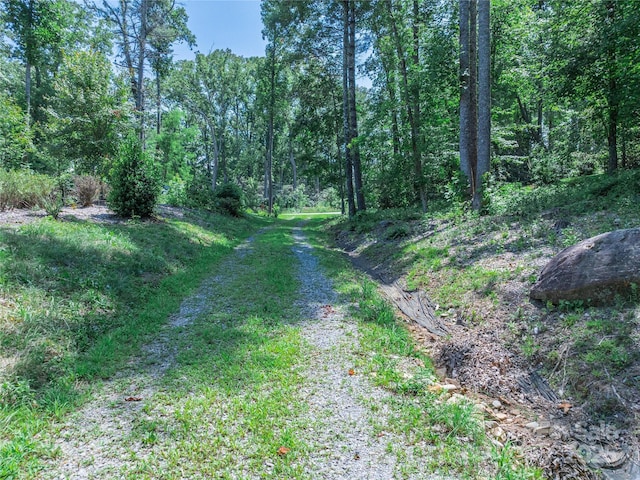 52 Trail Top Dr, Asheville, NC 28805 - photo 29