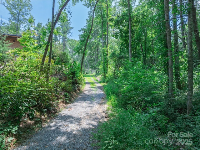 52 Trail Top Dr, Asheville, NC 28805 - photo 30