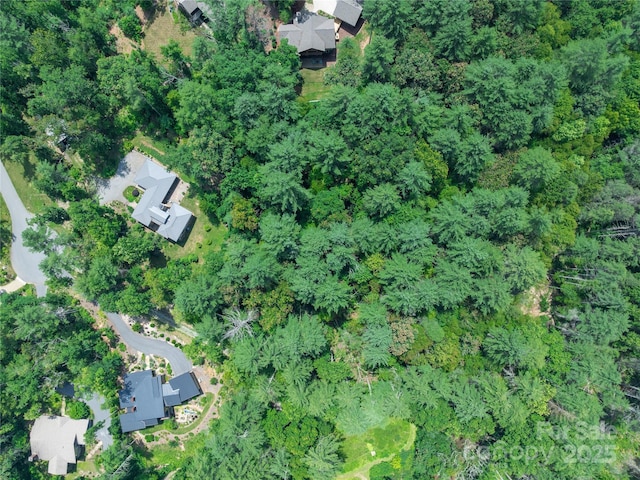 52 Trail Top Dr, Asheville, NC 28805 - photo 31