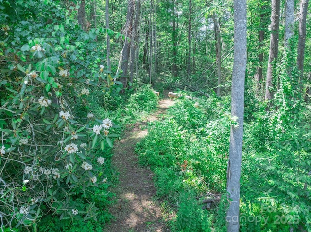 52 Trail Top Dr, Asheville, NC 28805 - photo 32