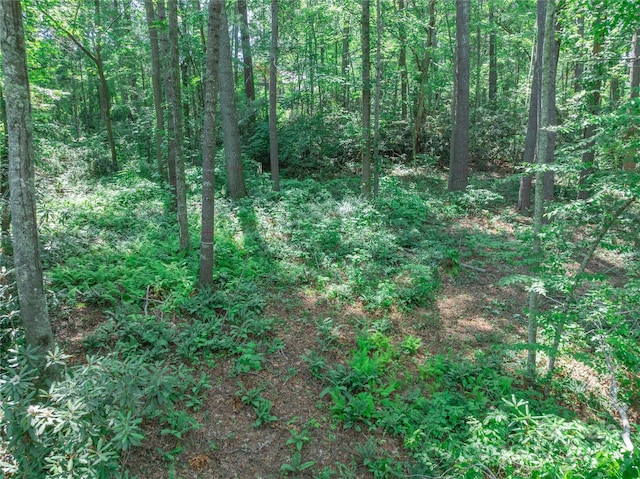 52 Trail Top Dr, Asheville, NC 28805 - photo 33