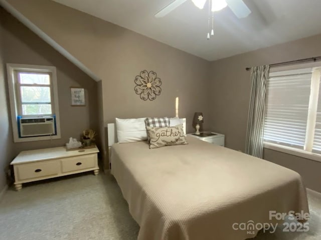 151 Wipprecht Dr, Spruce Pine, NC 28777 - photo 20