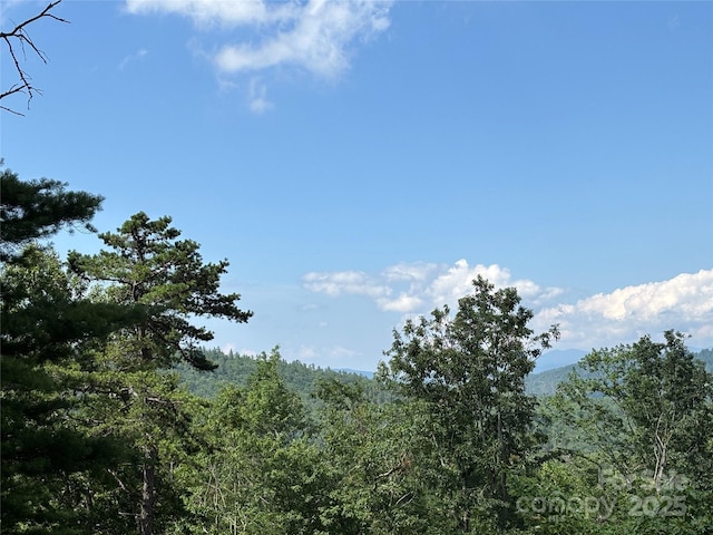 151 Wipprecht Dr, Spruce Pine, NC 28777 - photo 22