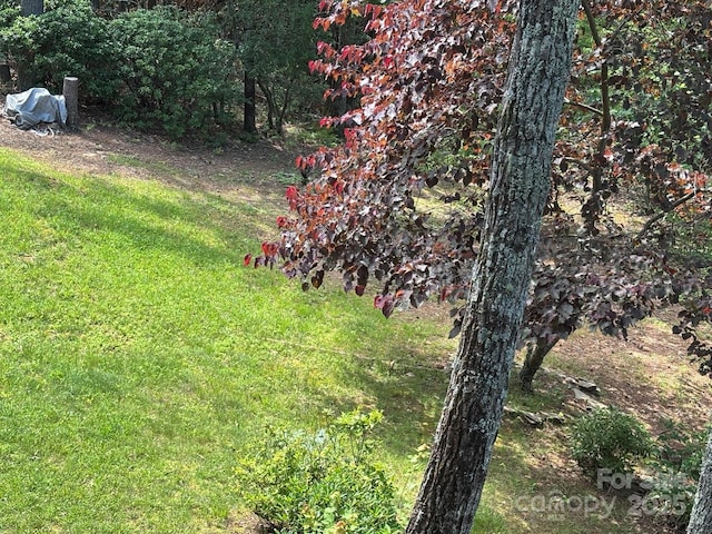 151 Wipprecht Dr, Spruce Pine, NC 28777 - photo 26