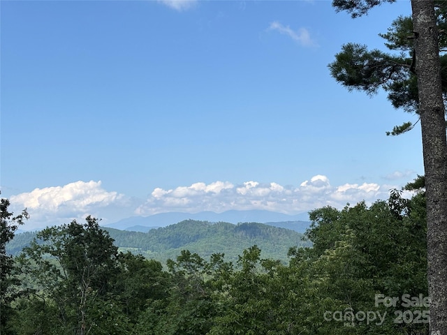 151 Wipprecht Dr, Spruce Pine, NC 28777 - photo 1