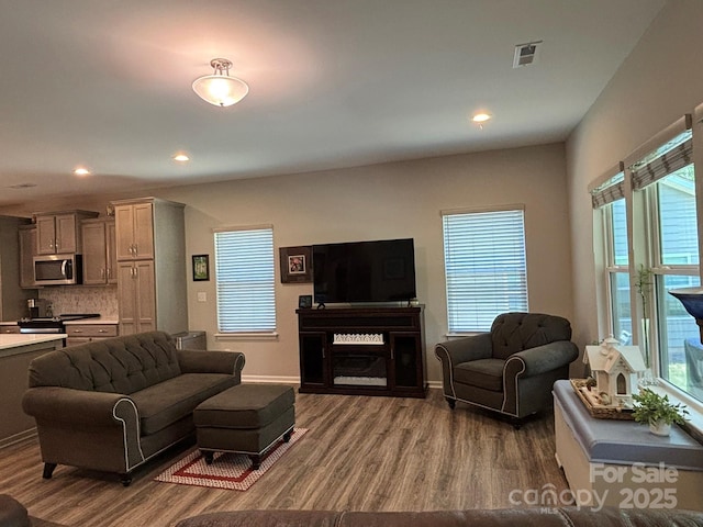 284 Old Harbor Dr, Mount Gilead, NC 27306 - living room featuring dark wood-style floors and recessed lighting