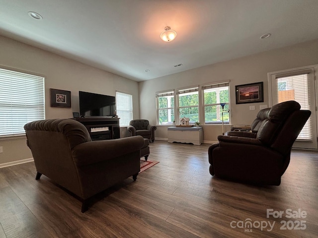 284 Old Harbor Dr, Mount Gilead, NC 27306 - living area with dark wood-style floors and recessed lighting