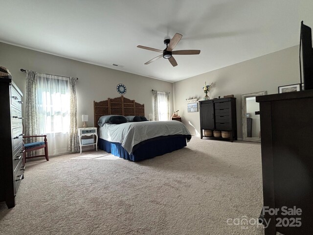 284 Old Harbor Dr, Mount Gilead, NC 27306 - bedroom featuring multiple windows, carpet, and a ceiling fan