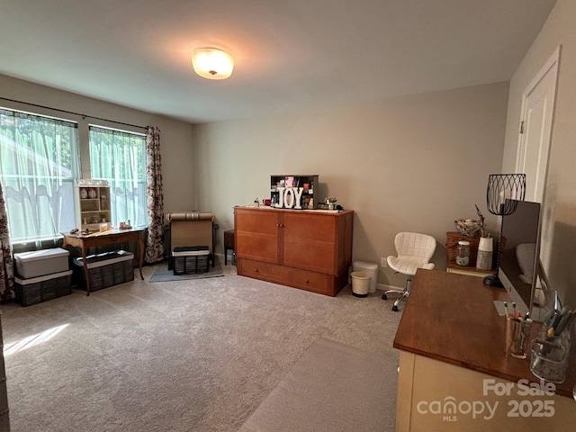 284 Old Harbor Dr, Mount Gilead, NC 27306 - bedroom featuring carpet and an office area