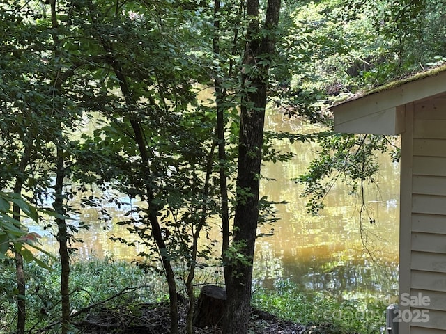 284 Old Harbor Dr, Mount Gilead, NC 27306 - water view