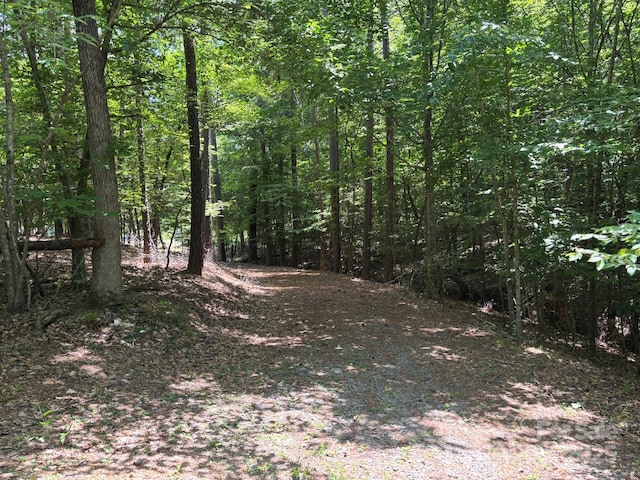 284 Old Harbor Dr, Mount Gilead, NC 27306 - view of woods