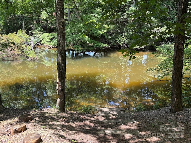 284 Old Harbor Dr, Mount Gilead, NC 27306 - water view