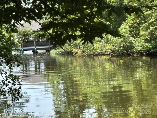 284 Old Harbor Dr, Mount Gilead, NC 27306 - water view