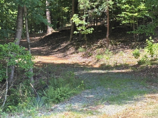 284 Old Harbor Dr, Mount Gilead, NC 27306 - view of nature