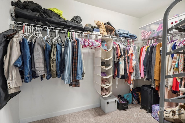 4204 Sebring Ct SW, Concord, NC 28025 - walk in closet featuring carpet