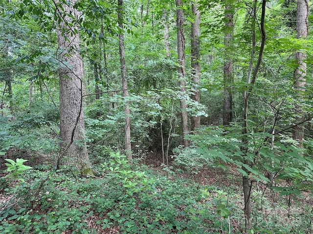 00 Fremont Ln, Elkin, NC 28621 - photo 1