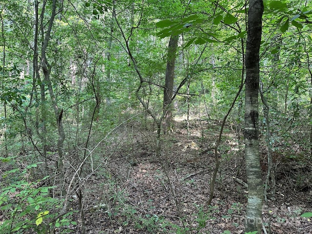 00 Fremont Ln, Elkin, NC 28621 - photo 3