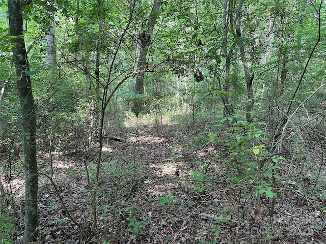 00 Fremont Ln, Elkin, NC 28621 - photo 4