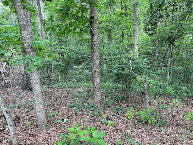 00 Fremont Ln, Elkin, NC 28621 - photo 5