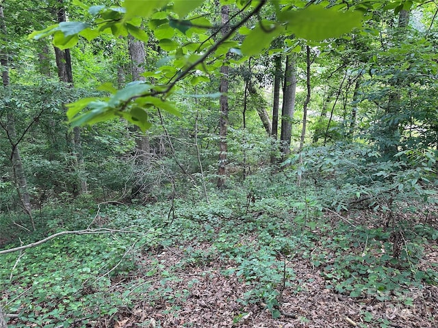 00 Fremont Ln, Elkin, NC 28621 - photo 6