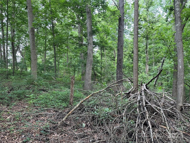 00 Fremont Ln, Elkin, NC 28621 - photo 9