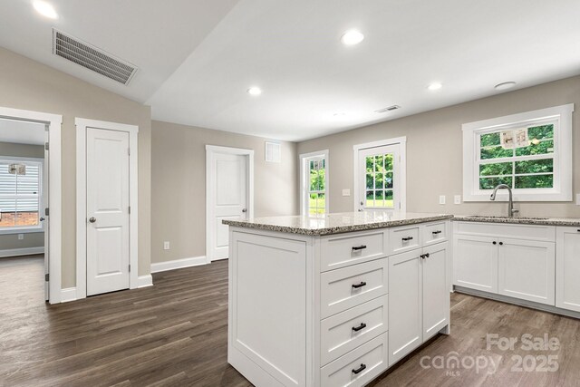 1234 Goodnight Ln, Kannapolis, NC 28081 - kitchen with dark wood-type flooring, light stone counters, white cabinets, recessed lighting, and lofted ceiling