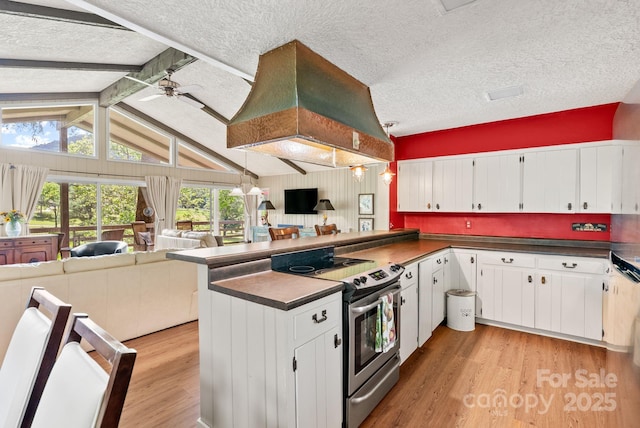 386 Country Club Dr Unit C6, Canton, NC 28716 - kitchen with electric range, open floor plan, dark countertops, light wood finished floors, and ceiling fan