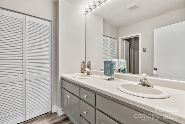 386 Country Club Dr Unit C6, Canton, NC 28716 - full bath featuring a closet, double vanity, wood finished floors, and a textured ceiling