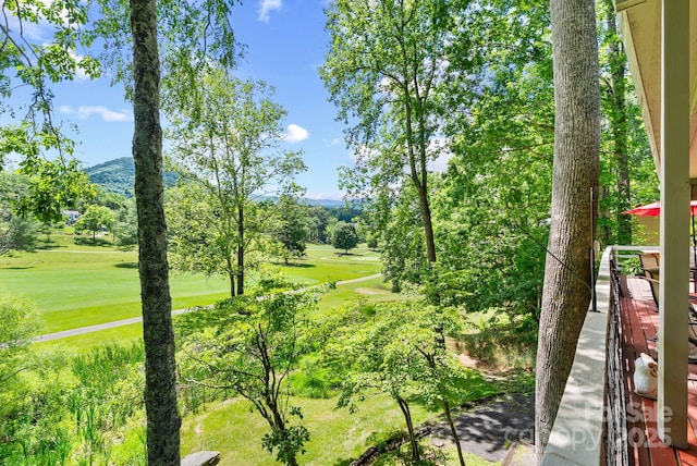 386 Country Club Dr Unit C6, Canton, NC 28716 - view of property's community featuring view of golf course, a mountain view, and view of wooded area
