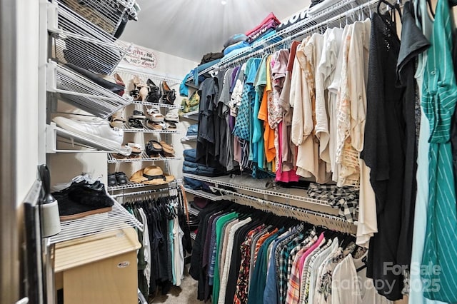 8152 Chilkoot Ln, Locust, NC 28097 - walk in closet with carpet flooring