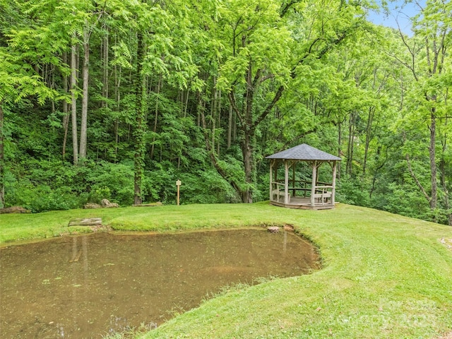 13 Galega Trl Unit D, Maggie Valley, NC 28751 - photo 4