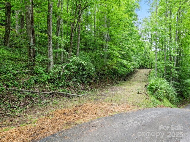 13 Galega Trl Unit D, Maggie Valley, NC 28751 - photo 5