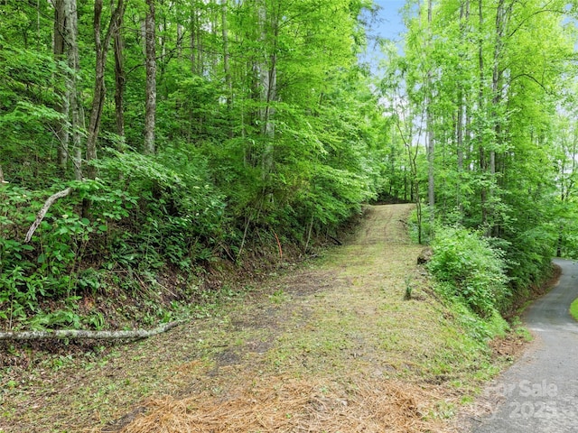 13 Galega Trl Unit D, Maggie Valley, NC 28751 - photo 6
