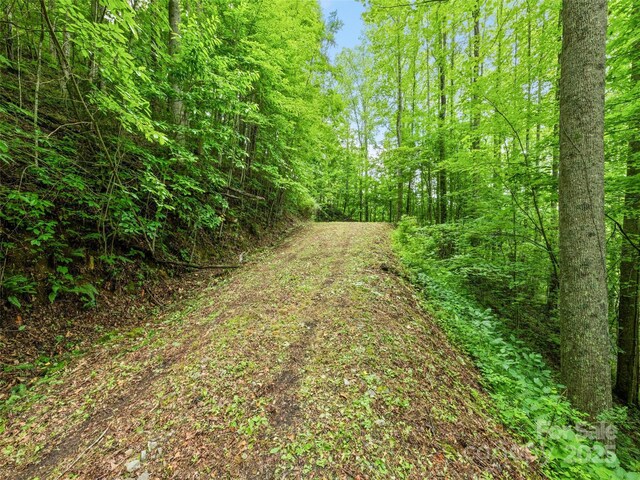 13 Galega Trl Unit D, Maggie Valley, NC 28751 - photo 7