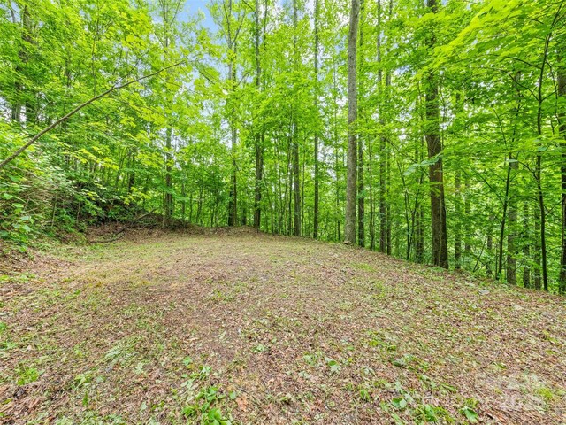 13 Galega Trl Unit D, Maggie Valley, NC 28751 - photo 8
