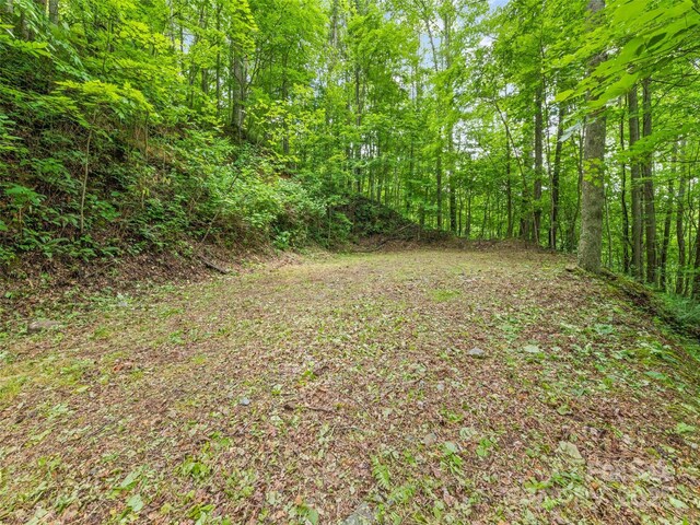 13 Galega Trl Unit D, Maggie Valley, NC 28751 - photo 9